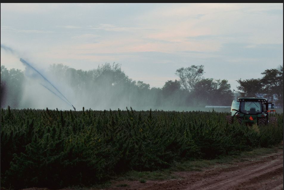 Tractor on farm